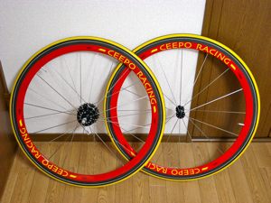 ceepo-2-100903.jpg