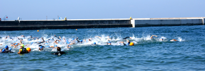irago2010-2.jpg